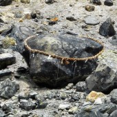 Tảng đá độc Sessho-seki, hóa thân của cửu vĩ hồ ở Nhật Bản