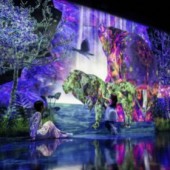 Đi săn giữa lòng thành phố tại teamLab Forest ở Fukuoka