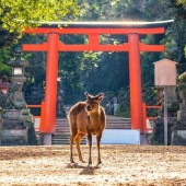 Kansai, Kinki, Kinai: Nguồn gốc và ý nghĩa của các tên gọi