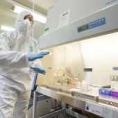 Nhật Bản bắt đầu thử nghiệm xét nghiệm COVID-19 ngẫu nhiên