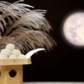 Lễ hội ngắm trăng - Tết Trung thu Nhật Bản!