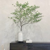 Thạch nam: “Tân binh” tiền triệu vẫn hút khách