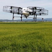 Thành phố Tome dùng công nghệ để “giải cứu” ngành trồng lúa