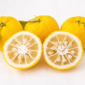 Tự làm toner từ hạt yuzu để đón Tết 