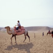 Khám phá thiên nhiên kỳ ngoạn tại Tottori