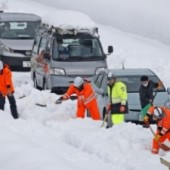 Nhiều phương tiện giao thông bị mắc kẹt vì tuyết dày ở Nhật 