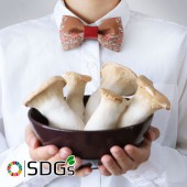 Thương hiệu thời trang Nhật ra mắt phụ kiện da thuần chay làm từ nấm