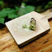 Biến đổi khí hậu khiến Wasabi bị đe dọa