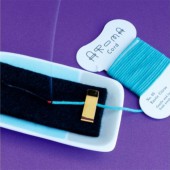 “Hương dây”: Mang hương thơm đến mọi nơi