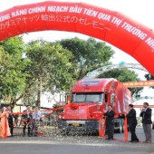 Mắc ca Việt lần đầu tiên được xuất khẩu chính ngạch sang Nhật