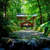 Khám phá Yahiko: thị trấn linh thiêng của tỉnh Niigata