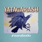 Yatagarasu: Loài quạ ba chân huyền bí, sứ giả của thần linh