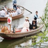 Thưởng lãm Lễ hội hoa Diên vĩ Suigo-Itako lần 65