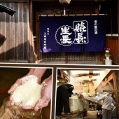 Đến Ueda, “say tình” sake của Nara