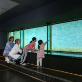 Hi hữu: Bảo tàng cá hồi không có cá hồi