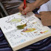 Viết nhật ký về thiên nhiên để nuôi dưỡng tâm hồn