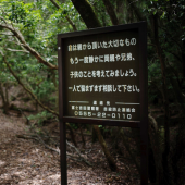 Tỉnh Yamanashi sử dụng máy bay không người lái tuần tra Rừng Aokigahara