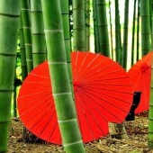 Tre trong đời sống văn hóa của người Nhật