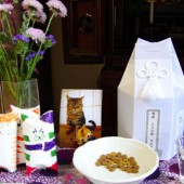 Những điều cần biết về dịch vụ hỏa táng thú cưng ở Nhật Bản