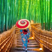 Khám phá những rừng tre xanh mướt ở Nhật Bản