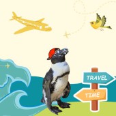 Cánh cụt "đi bụi", phiêu lưu 30km trước khi được tìm thấy