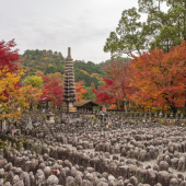 Những địa điểm đẹp và vắng khách du lịch ở Kyoto