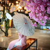 Khu du lịch núi Bà Đen đón nhận 200 cây anh đào từ Đại sứ quán Nhật Bản