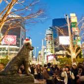 Tượng Hachiko ở Shibuya sẽ được che phủ vào đêm giao thừa
