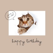 Cách chúc mừng sinh nhật bằng tiếng Nhật thông dụng theo từng đối tượng