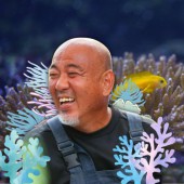 Koji Kinjo: 20 năm cần mẫn trồng san hô trên biển