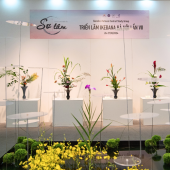 Triển lãm Ikebana “Sơ Tâm”: Nơi gặp gỡ của nét đẹp văn hóa Nhật Bản – Việt Nam
