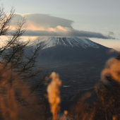 Vẫn chưa có tuyết trên núi Phú Sĩ