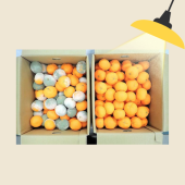 Phát triển công nghệ giúp bảo quản trái cây lâu hơn