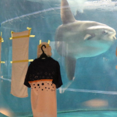 Thủy cung Nhật Bản treo hình người để động viên chú cá “cô đơn”