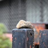 Cảnh sát Hyogo cảnh báo về những viên sỏi bất thường trên cổng nhà