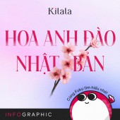 Infographic: Hoa anh đào Nhật Bản