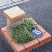 Guinness công nhận một nơi ở Nhật là công viên nhỏ nhất thế giới