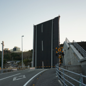 Cây cầu "có một không hai” ở Kochi, ngỡ như trong phim tận thế