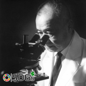 Nissin, Calbee và Yakult: Sự bền vững bắt nguồn từ triết lý sáng lập