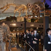 Nhật Bản thành lập khoa Khủng long học đầu tiên tại “vương quốc khủng long” Fukui