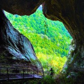 Lạc bước vào thế giới Ghibli tại hang động hình mèo ở Aichi