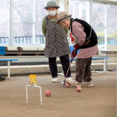 Gateball ở Nhật: Từ đỉnh cao đến thoái trào