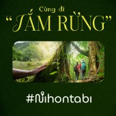 Cùng đi “Tắm rừng” tìm kiếm sự tĩnh lặng cho tâm hồn