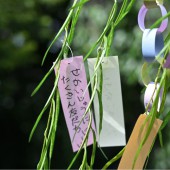 Ý nghĩa của Tanzaku – những dải giấy viết điều ước trong lễ Tanabata