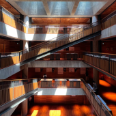 Khám phá tòa nhà xây "không mục đích" giữa lòng Tokyo