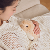 Robot thú cưng AI của Casio gây sốt tại Nhật bởi tính cách đáng yêu