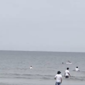 Hai người Việt dũng cảm cứu hai trẻ em Nhật Bản bị sóng cuốn