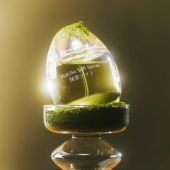 Bộ sưu tập matcha trong thế giới nước hoa (P.2)