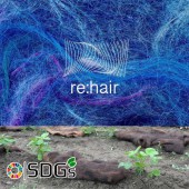 Thảm làm từ tóc được thử nghiệm để trồng đậu nành tại Nhật Bản