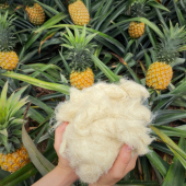 Doanh nghiệp Việt mang vải sợi dứa đến Fashion World Tokyo 2025